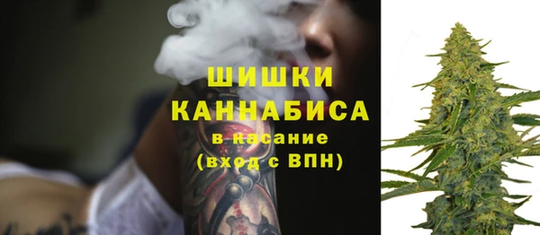 гидра Вяземский