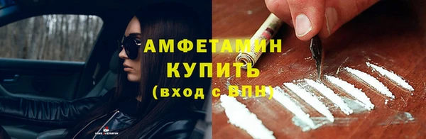 гидра Вяземский