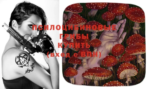 мдпв Горно-Алтайск
