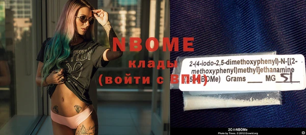 гидра Вяземский