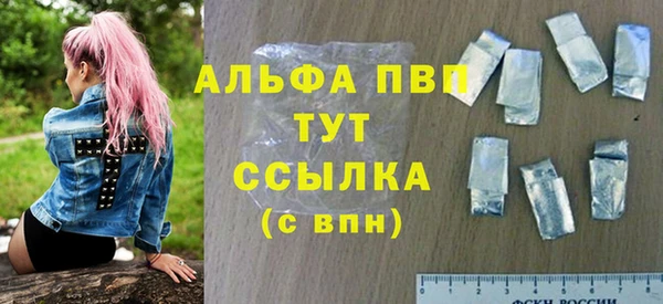 гидра Вяземский